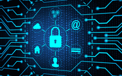 Protección y Seguridad Cibernética